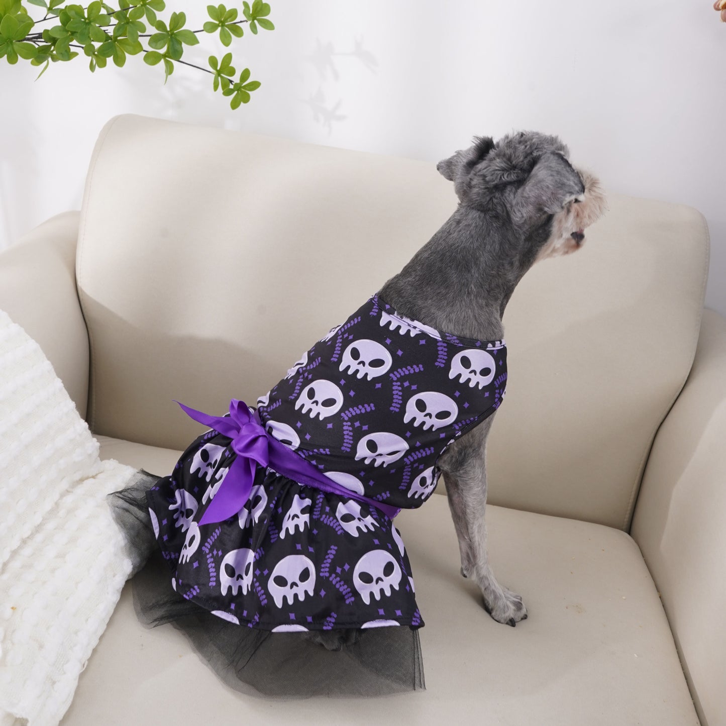 Colorful Halloween Dog Cape
