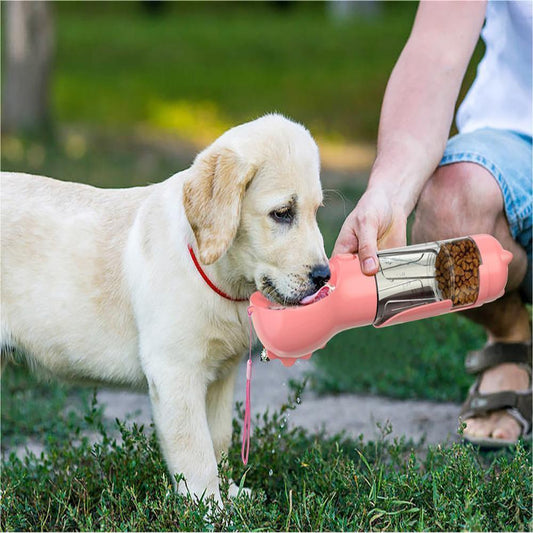A dog using a pink portable water bottle with attached bowl, which is attached to a leash. The bottle appears to be made of plastic and is designed for pet travel use.