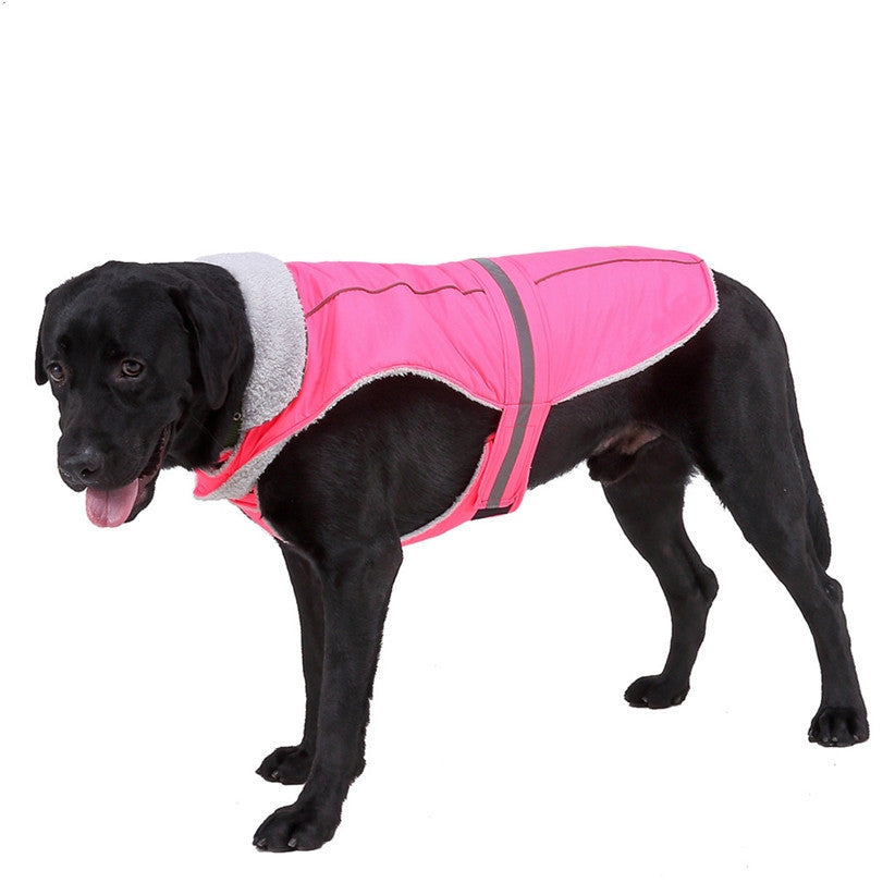 Reflective Winter Dog Jacket for Night Safety and Warmth