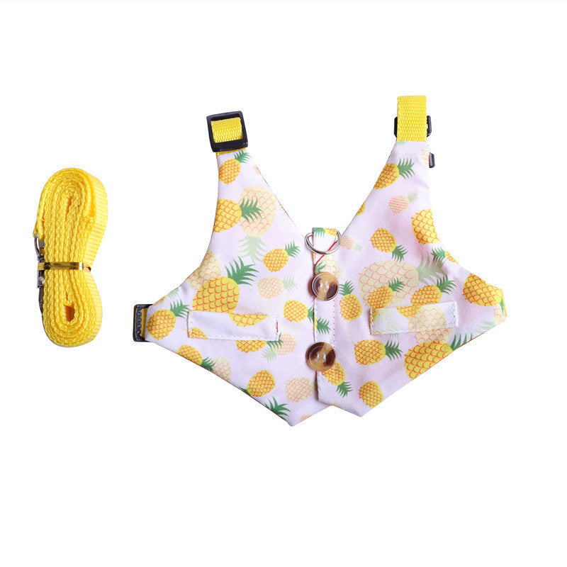 Rabbit Hand Holding Rope Cat Chest Strap