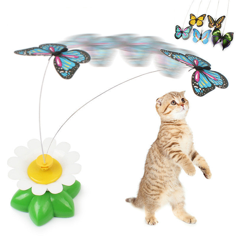 Smart auto-rotating funny cat