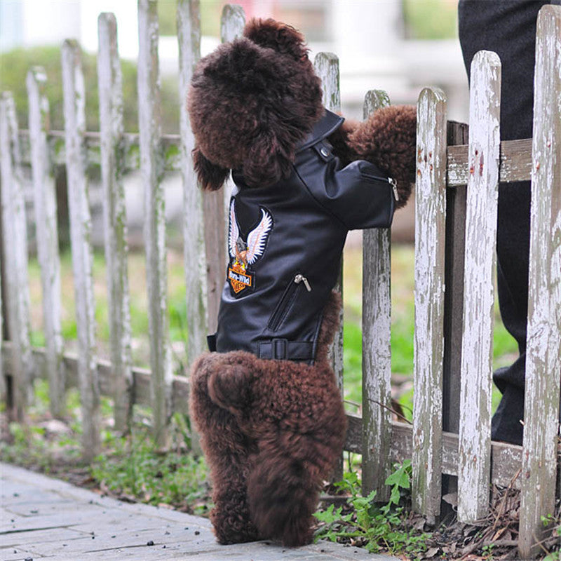 Puppy Leather Dog Coat – Stylish Chocolate Black Jacket for Your Furry Trio
