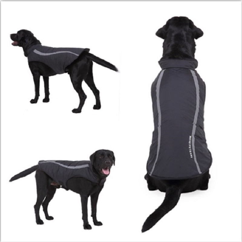 Warm Dog Coat for Autumn and Winter Stylish Cotton Dog Jacket for Cold Weather