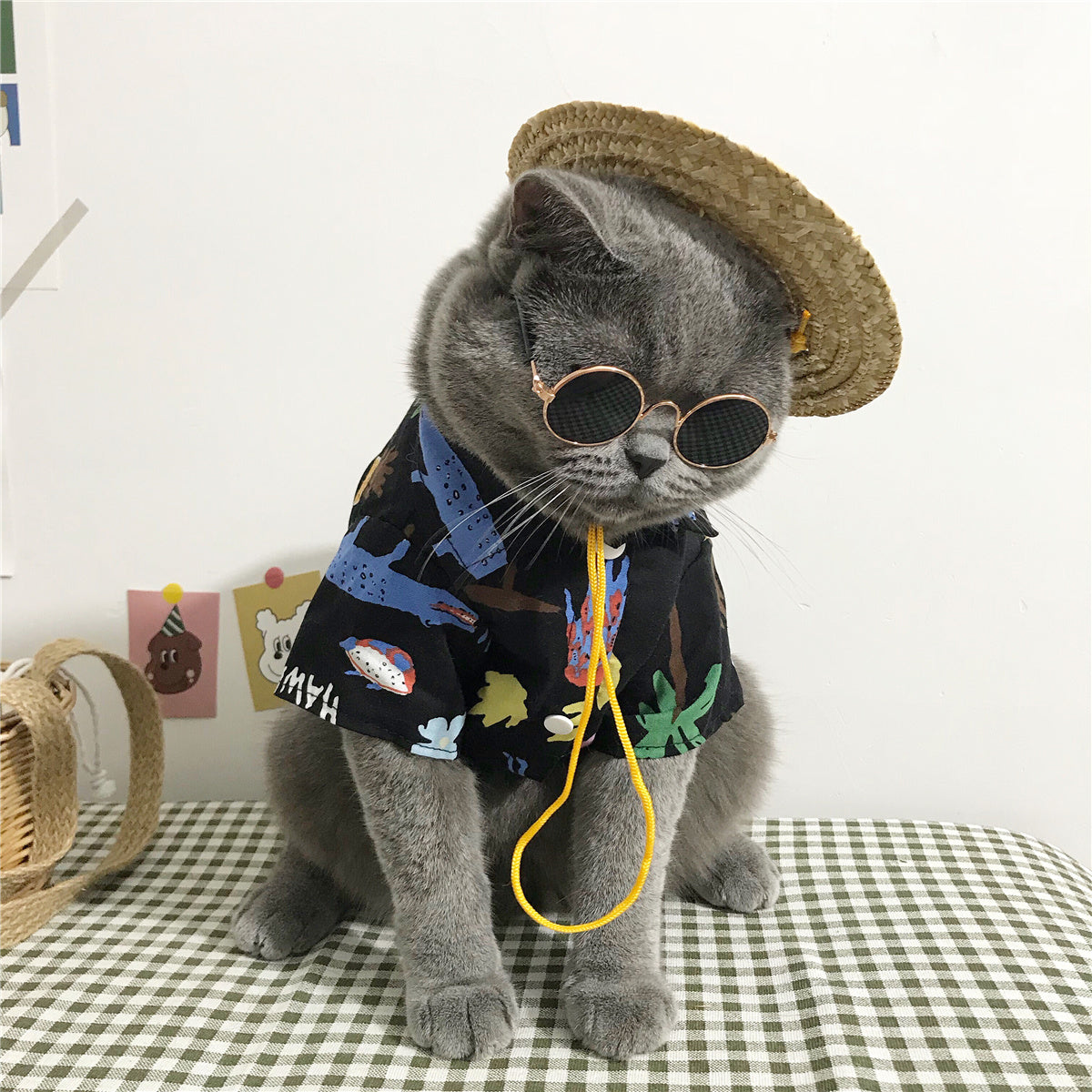 Stylish Summer Cat Clothes Set