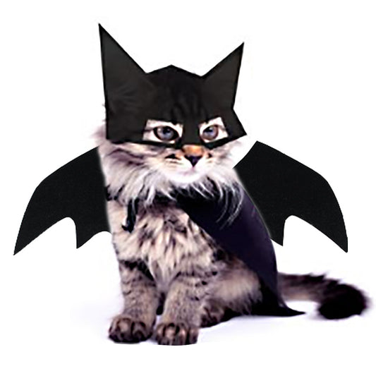 A pet wearing a costume that includes a bat mask with wings.