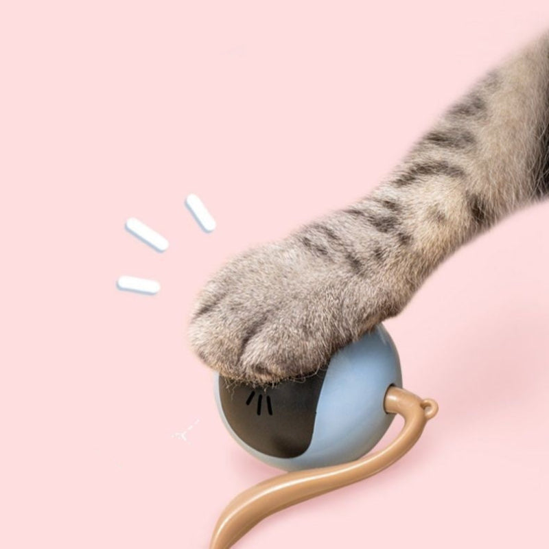Electric Cat Toy Ball – Fun and Stimulating Play for Cats