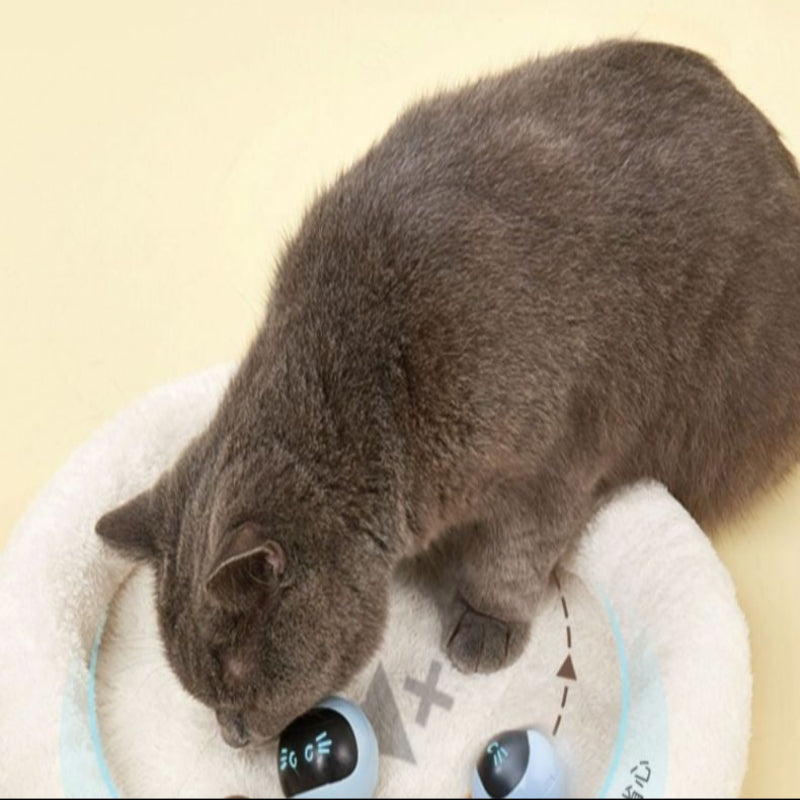 Electric Cat Toy Ball – Fun and Stimulating Play for Cats