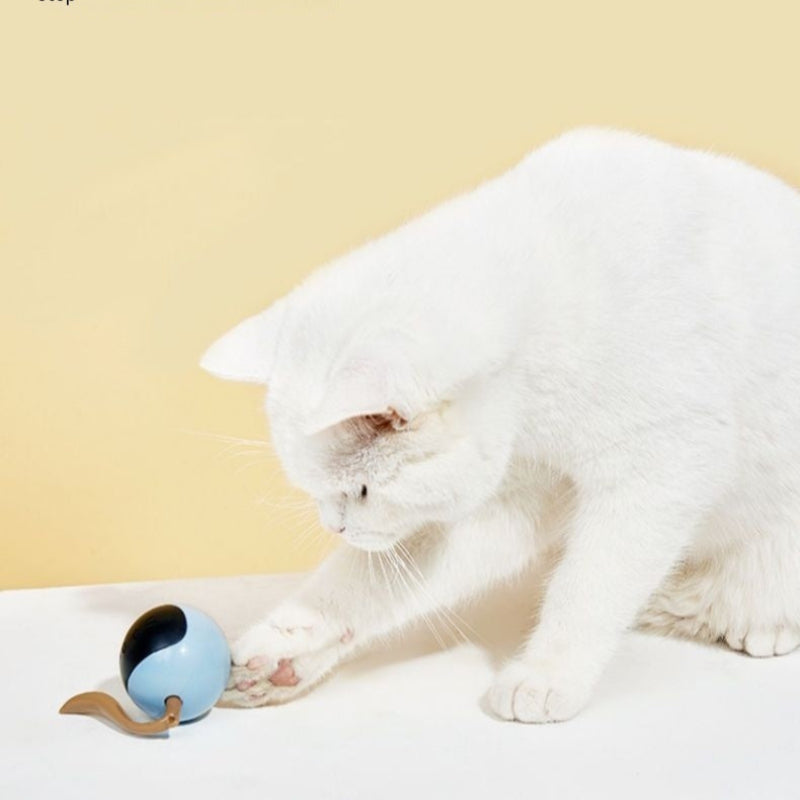 Electric Cat Toy Ball – Fun and Stimulating Play for Cats