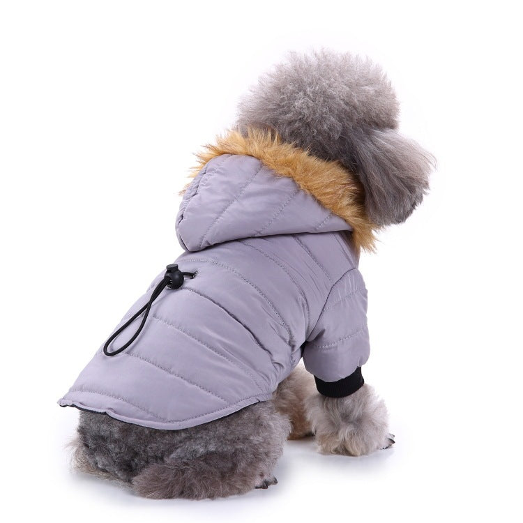 Winter Pet Clothing