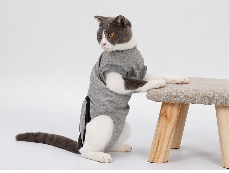 Recovery Suit for Cats Post Surgery Wound Healing Anti-Licking Clothing