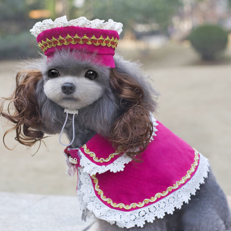 Funny Christmas Pet Costume