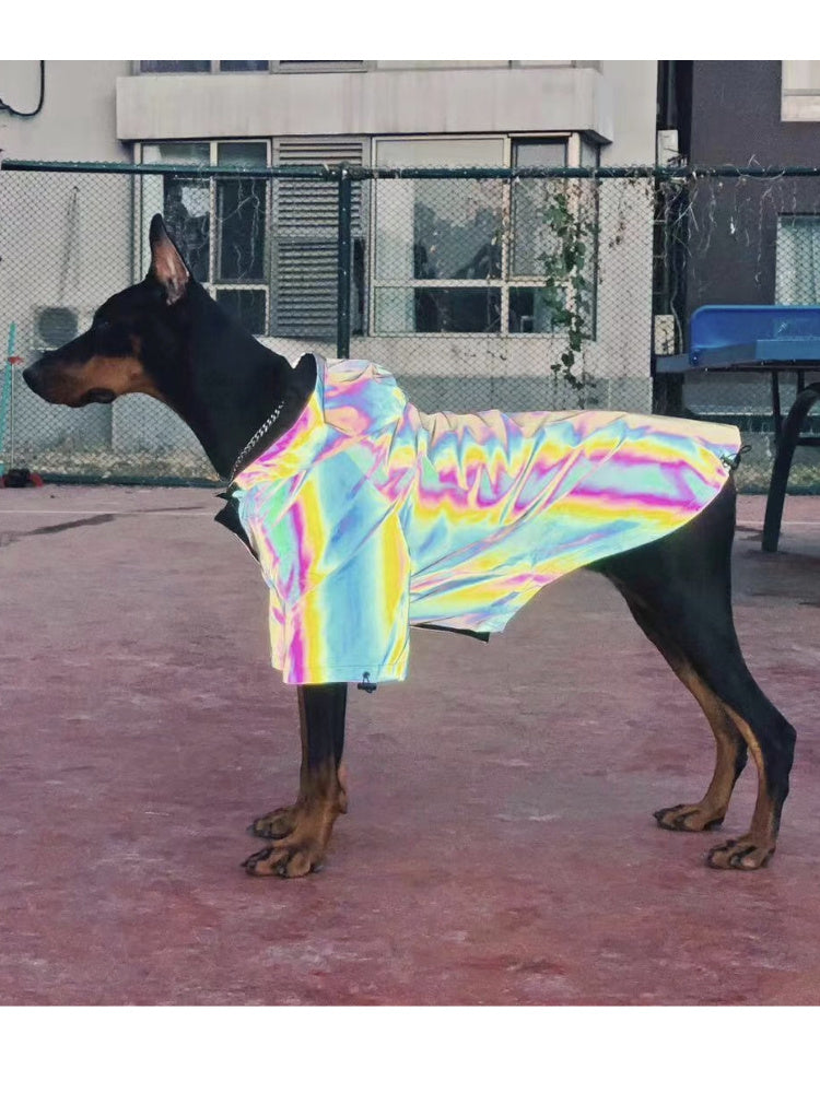 Reflective Waterproof Dog Jacket for Night Walks