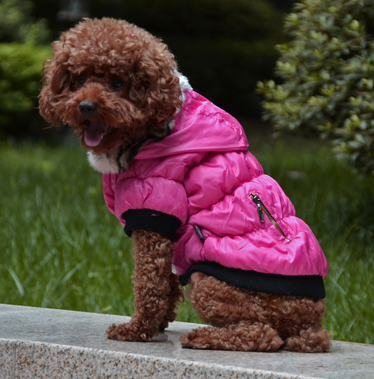 Zippered Cotton Padded Clothes for Pets