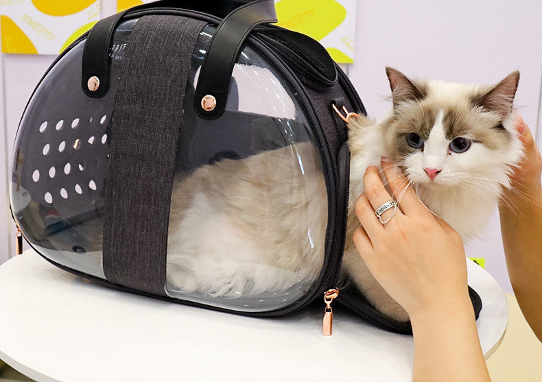 Transparent Dog Backpack for Pets