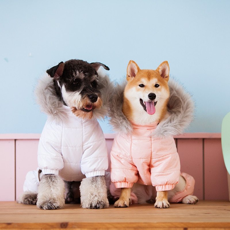 Casual Pet Clothes Comfortable Polyester Dog Shirt for Everyday Wear