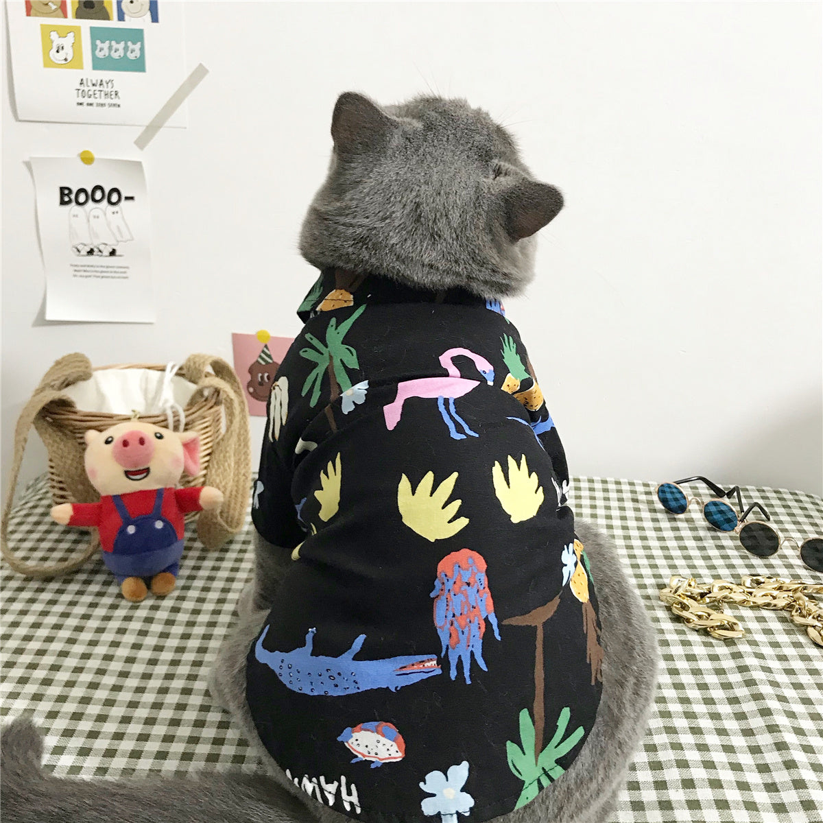 Stylish Summer Cat Clothes Set