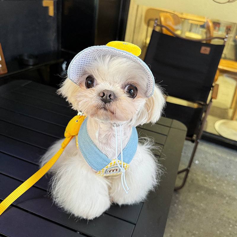 3-in-1 Pet Harness Set with Hat – Leash, Rope & Outfit