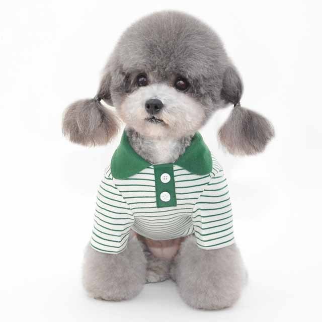 Striped Polo Shirt for Pets Comfortable Cotton Dog Shirt for Casual Wear