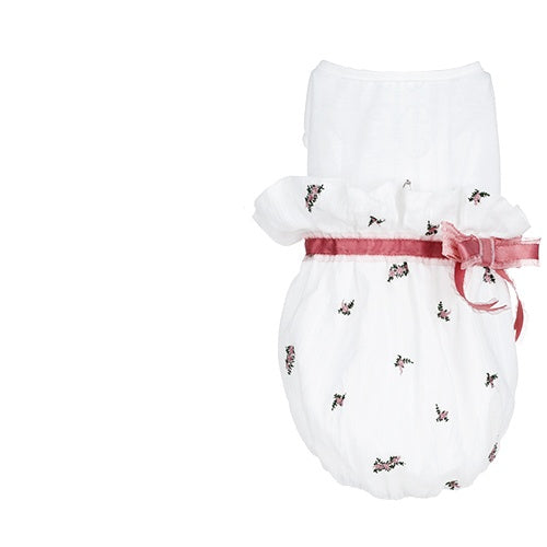 Elegant Cat Clothes with Stylish High Waist Bow Skirt