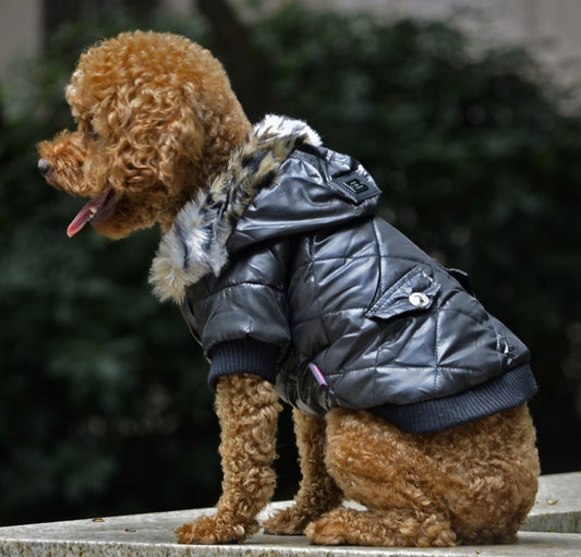 Winter Fur Collar Dog Coat for Cold Weather