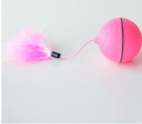 Pet Electric Toy LED Rolling Ball