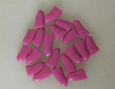 Pet Nail Caps - 20 Pieces