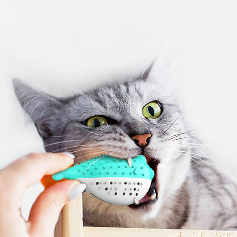 Mint Cat Chew Toy with Catnip for Dental Cleaning