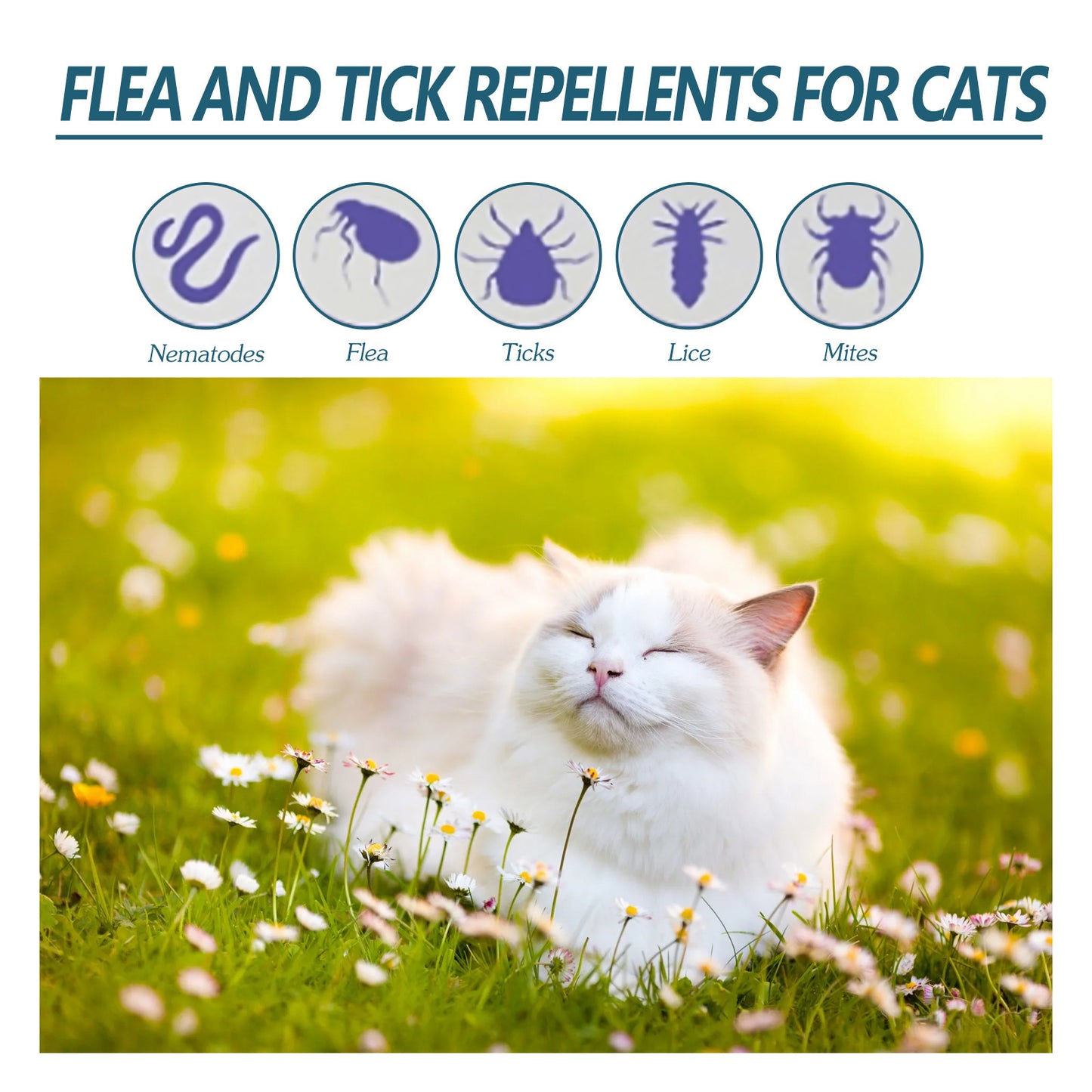 Cat Flea Tick Spray Natural Protection 50ml