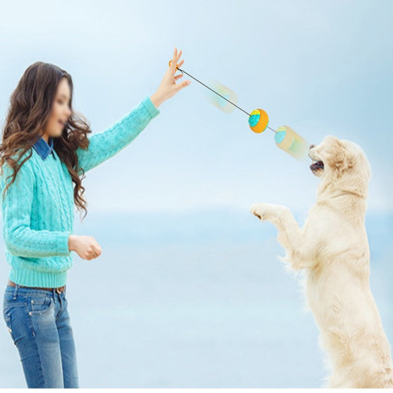 Pet Draw Rope Hand Throwing Ball ABS Grinding Teeth Resistant Chew Dog Training Ball