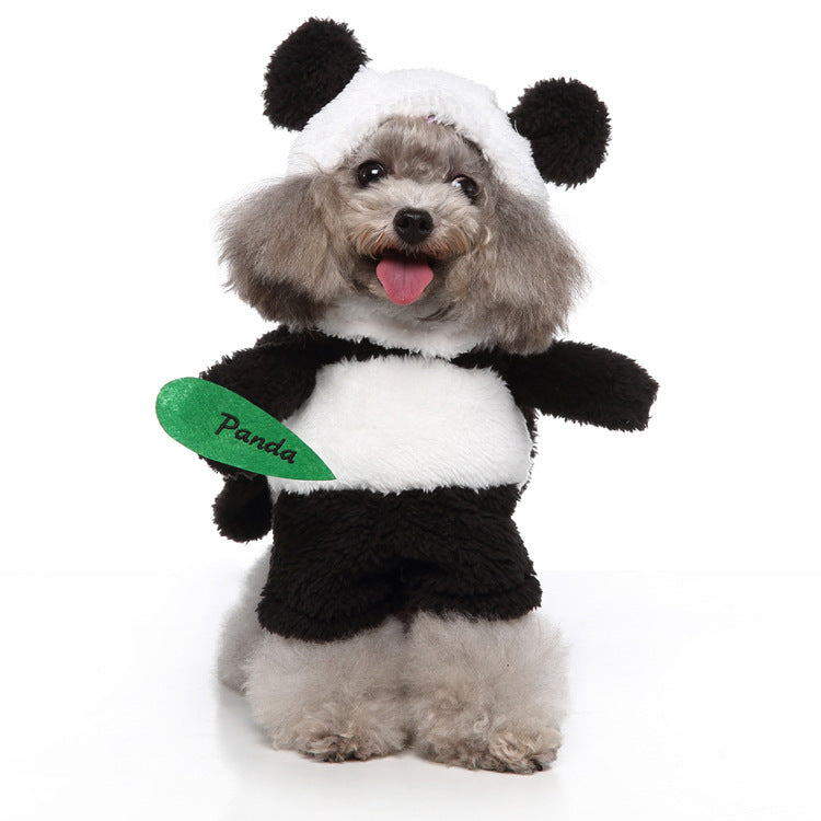 European and American Style Pet Clothing Collection