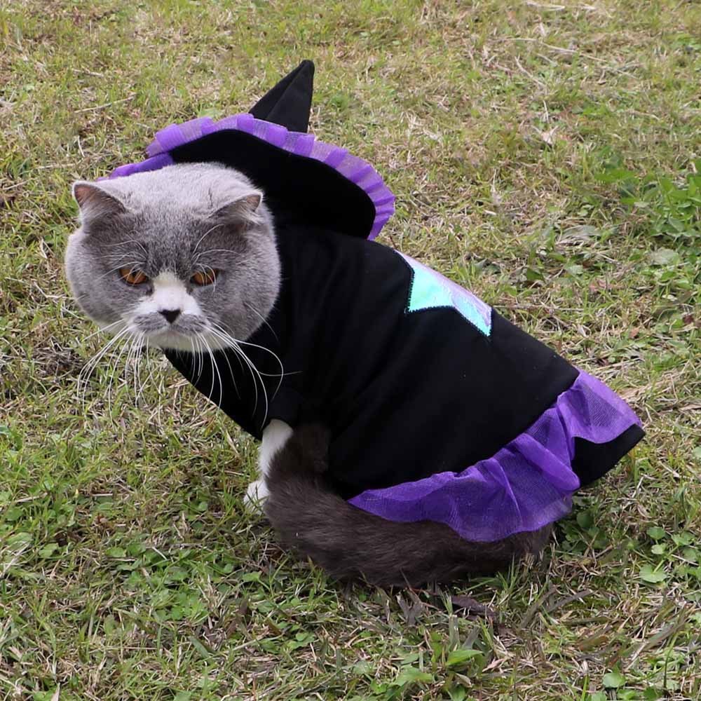 Halloween Wizard Costume For Dogs And Cats
