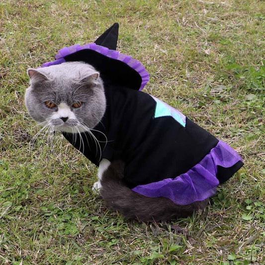 Halloween Wizard Costume For Dogs And Cats
