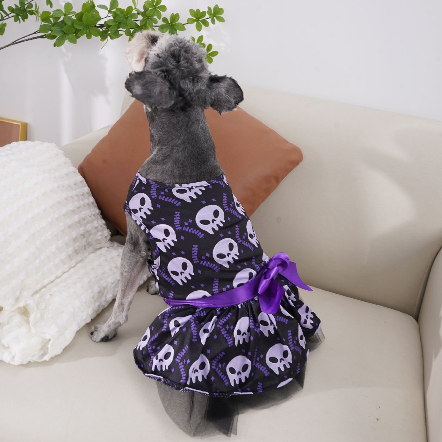 Colorful Halloween Dog Cape