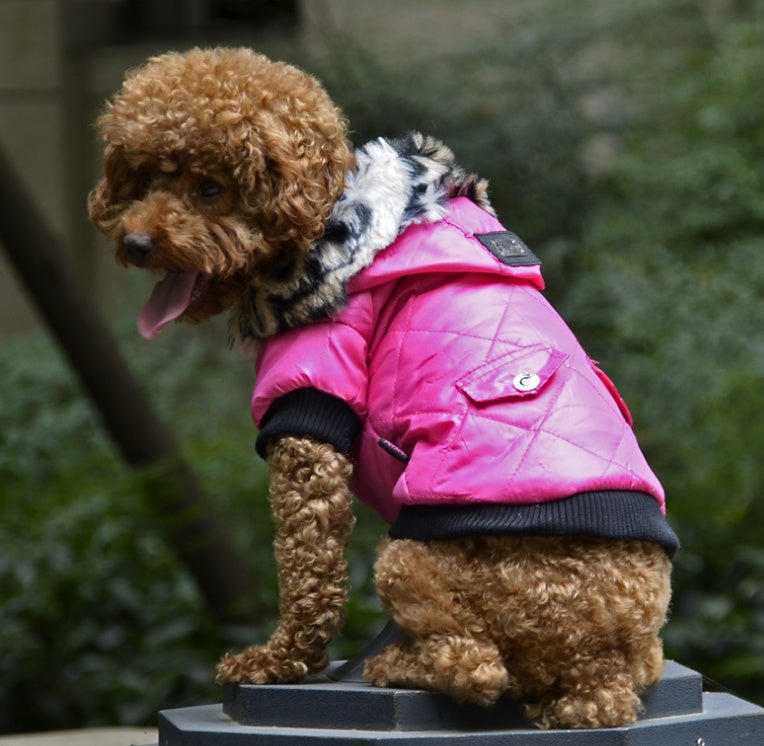 Winter Fur Collar Dog Coat for Cold Weather