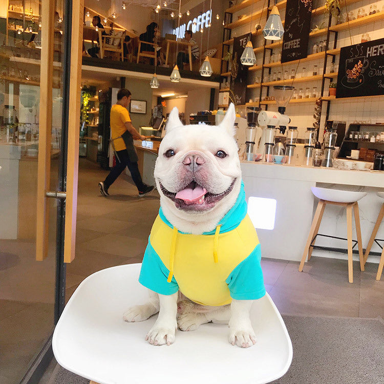 Soft Cotton Pet Sweater Comfortable Warm Dog and Cat Clothes