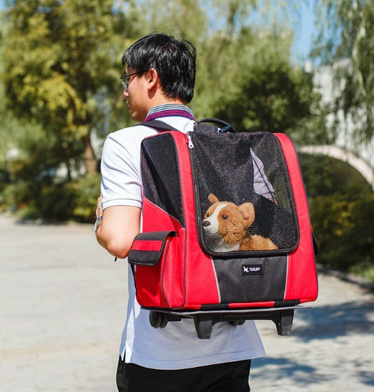 Small Pet Carrier Trolley Bag for Travel and Transport