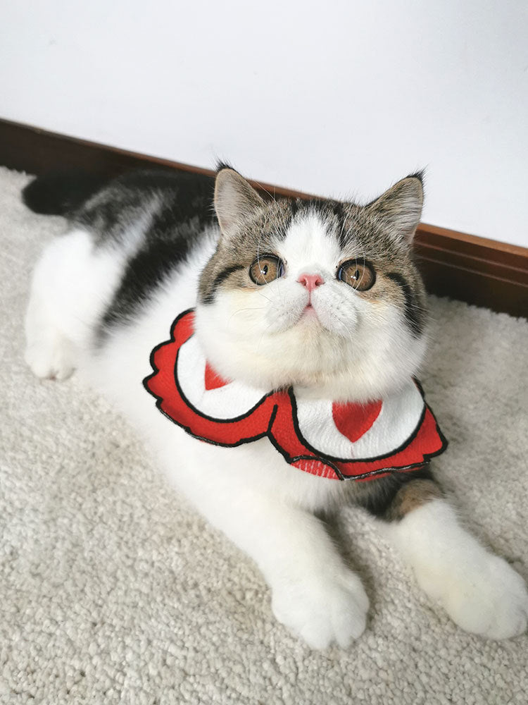 Cute Pet Collar Scarf for Small Dogs and Cats Attractive Puppy Accessories