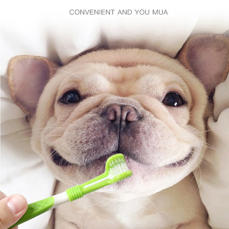 Best Dog Toothbrush with Silicone Finger Brush for Easy Cleaning