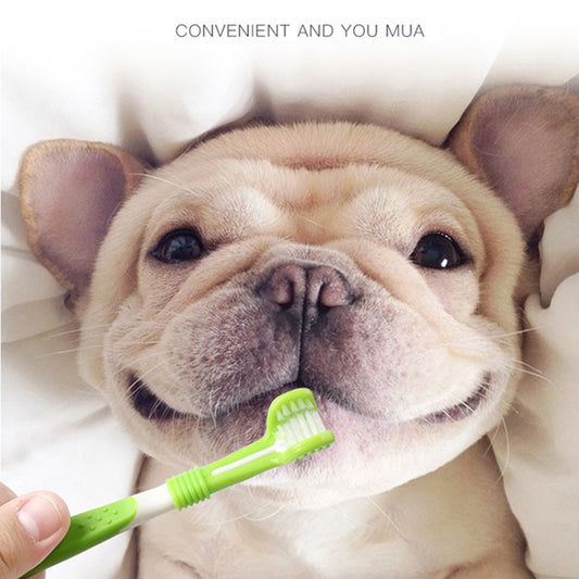 Best Dog Toothbrush with Silicone Finger Brush for Easy Cleaning