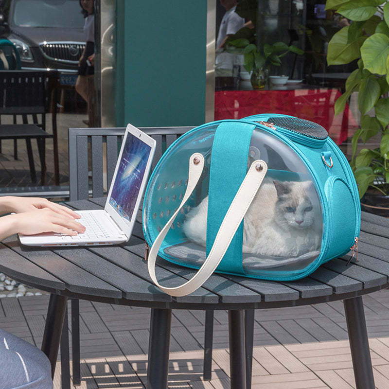 Transparent Dog Backpack for Pets