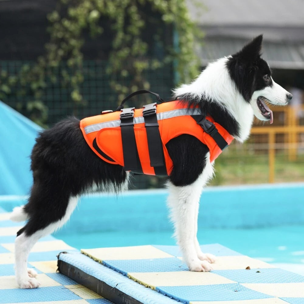 Reflective Dog Life Jacket with Buoyancy and Safety Features