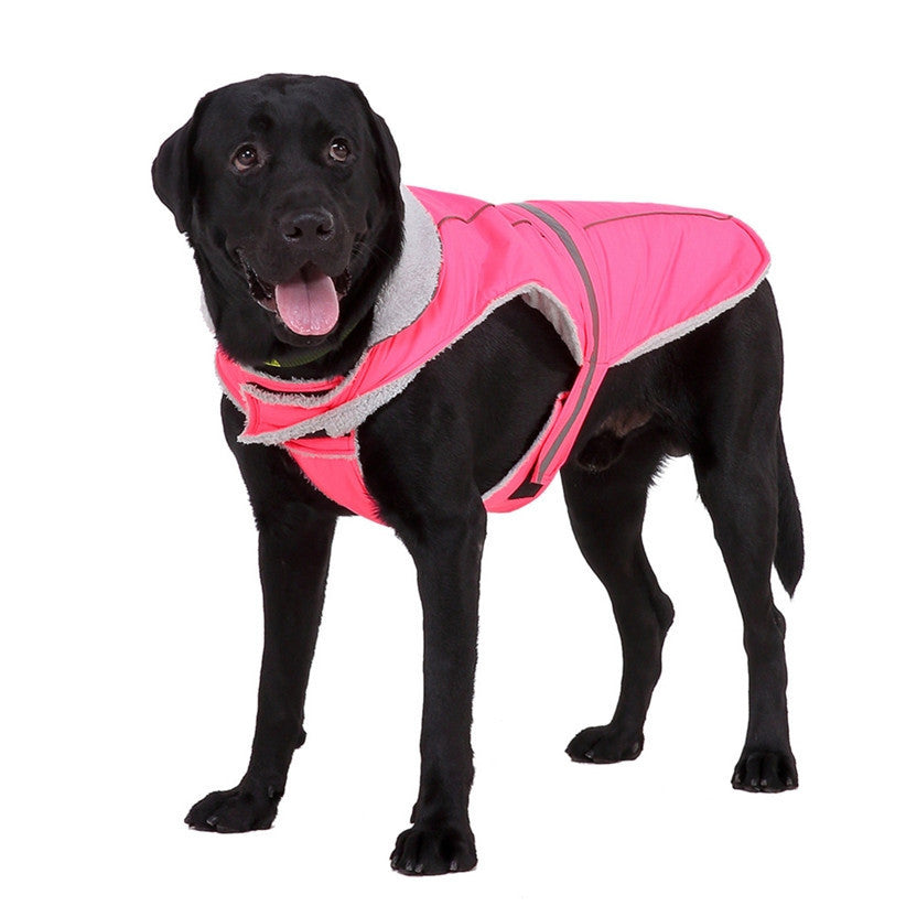 Reflective Winter Dog Jacket for Night Safety and Warmth