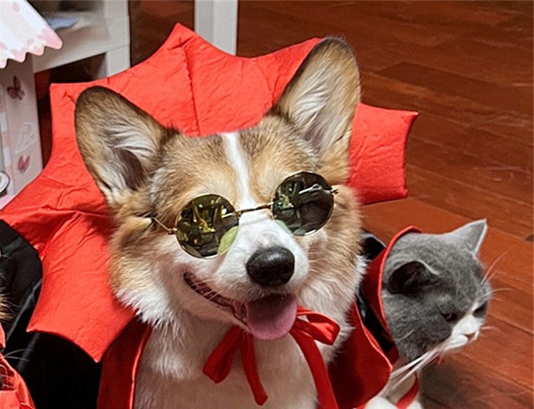 Halloween Vampire Cloak for Pets Scary Costume for Cats and Dogs