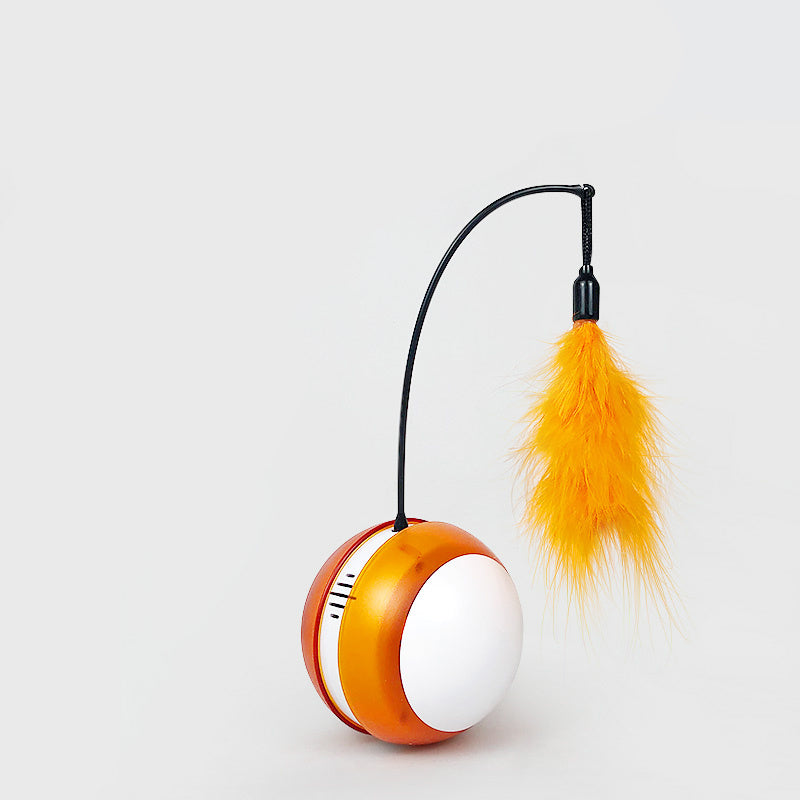 USB Free Cat Toy Ball – Rechargeable Interactive Play for Cats