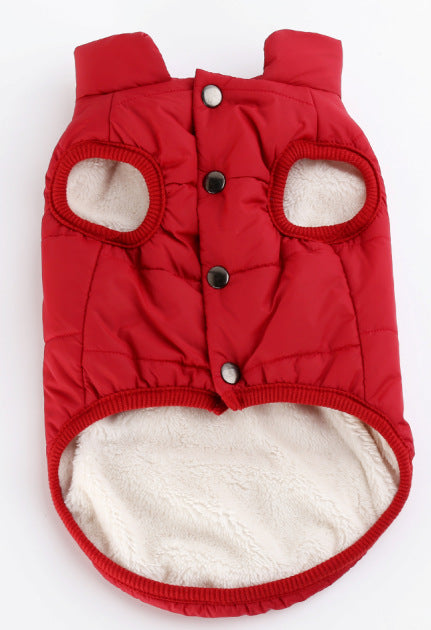 Waterproof Outdoor Dog Jacket for Winter