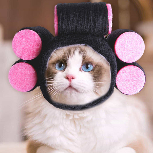 Curly Hair Pet Hat for Cats and Dogs