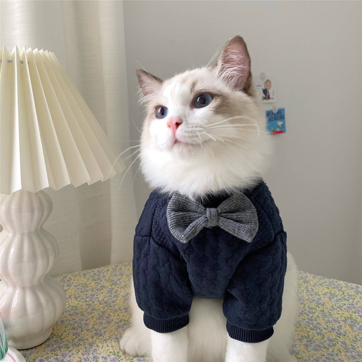 Warm Pet Feet Clothes