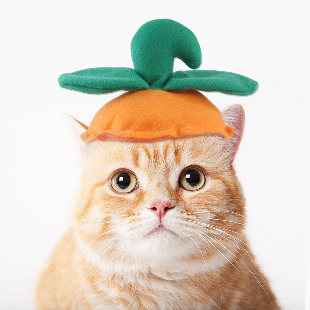 Curly Hair Pet Hat for Cats and Dogs