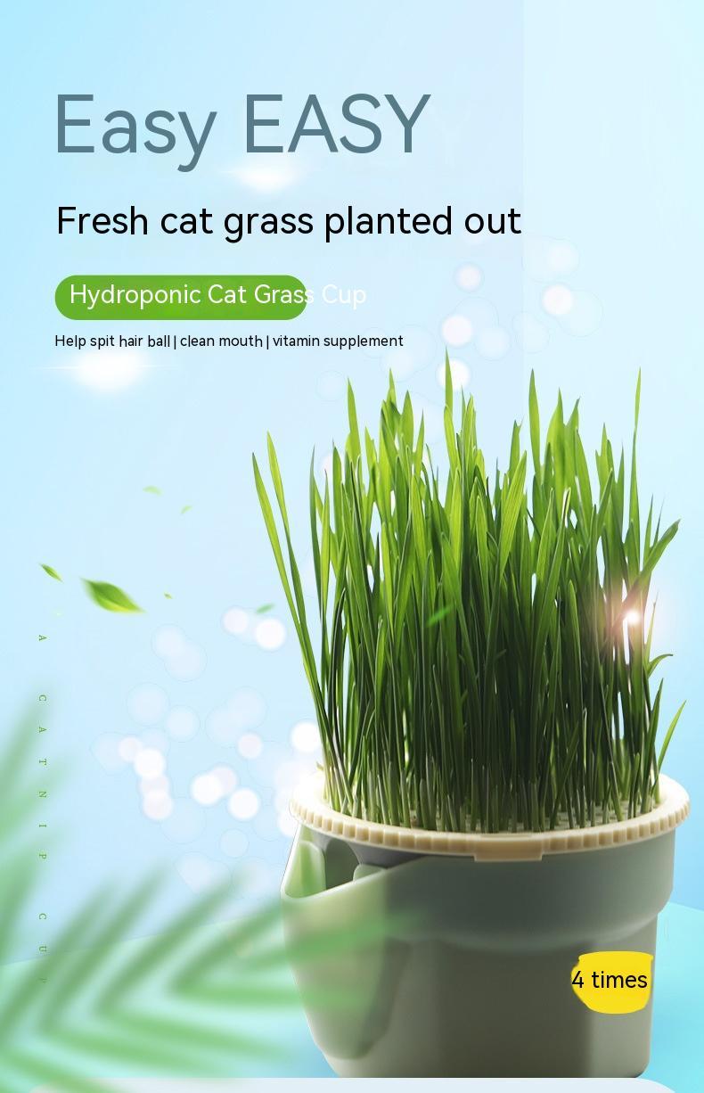 Cat Grass Cup Soilless Hydroponic Seed Spit Hair Ball Snacks