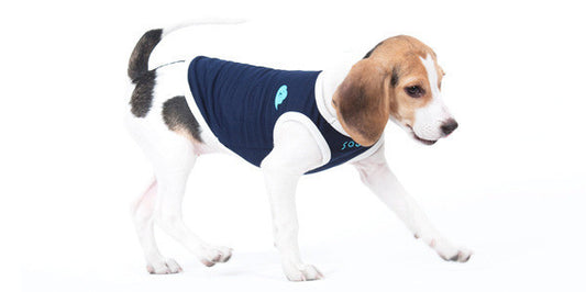 Dog Vest Two-Legged Pet Clothing Deodorizing Cotton Fabric